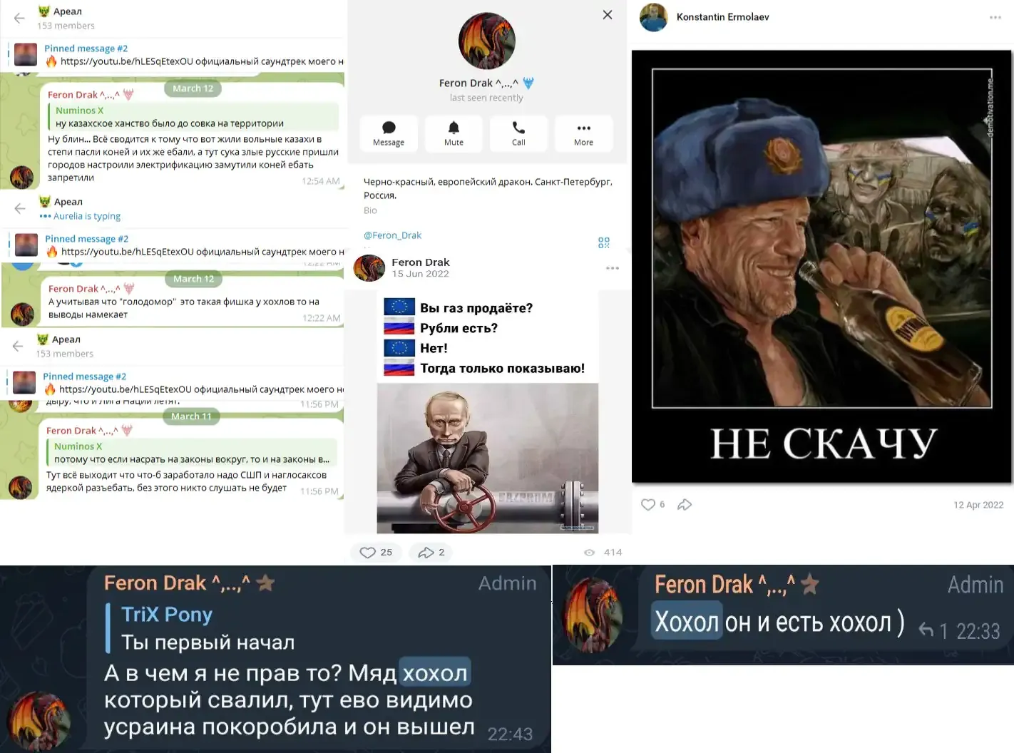 Ермолаев скріни чат