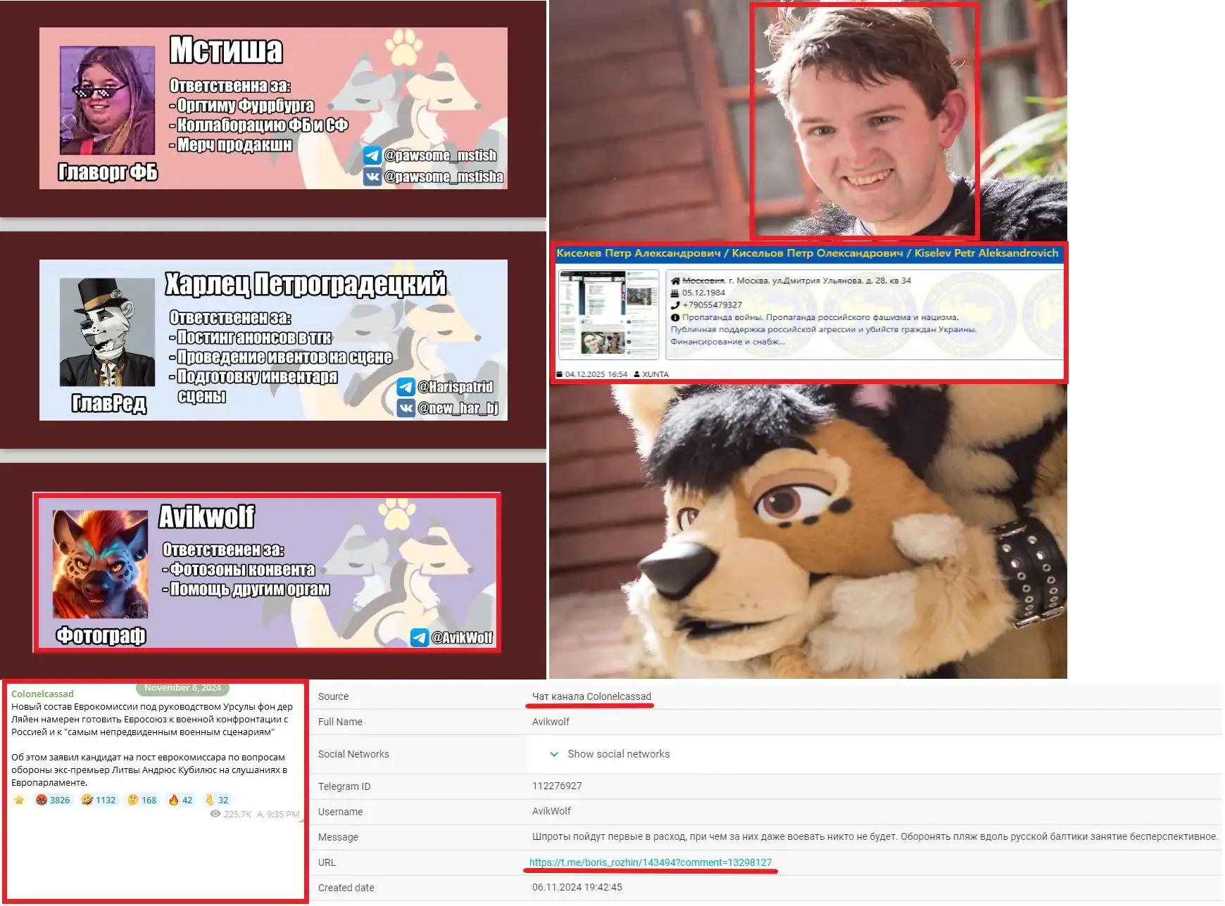 фуррбург учасник 16