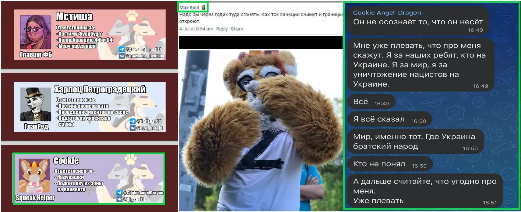 фуррбург учасник 25