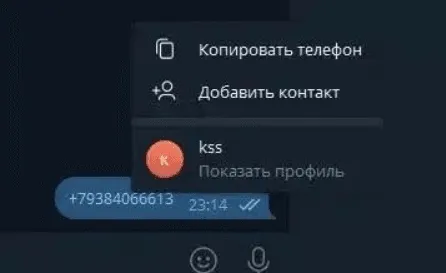 Telegram OSINT_Phone_Number